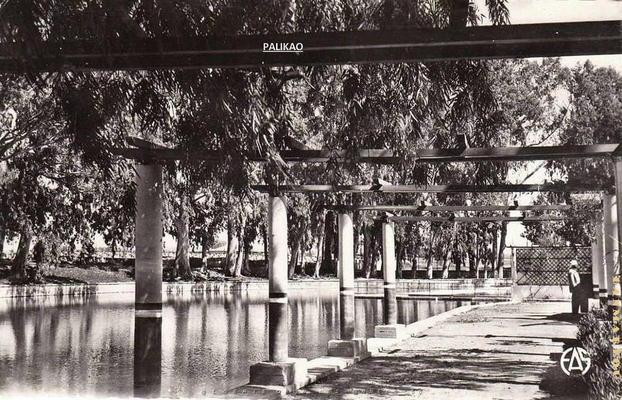 Palikao 620 Pergola Petit Lac.jpg